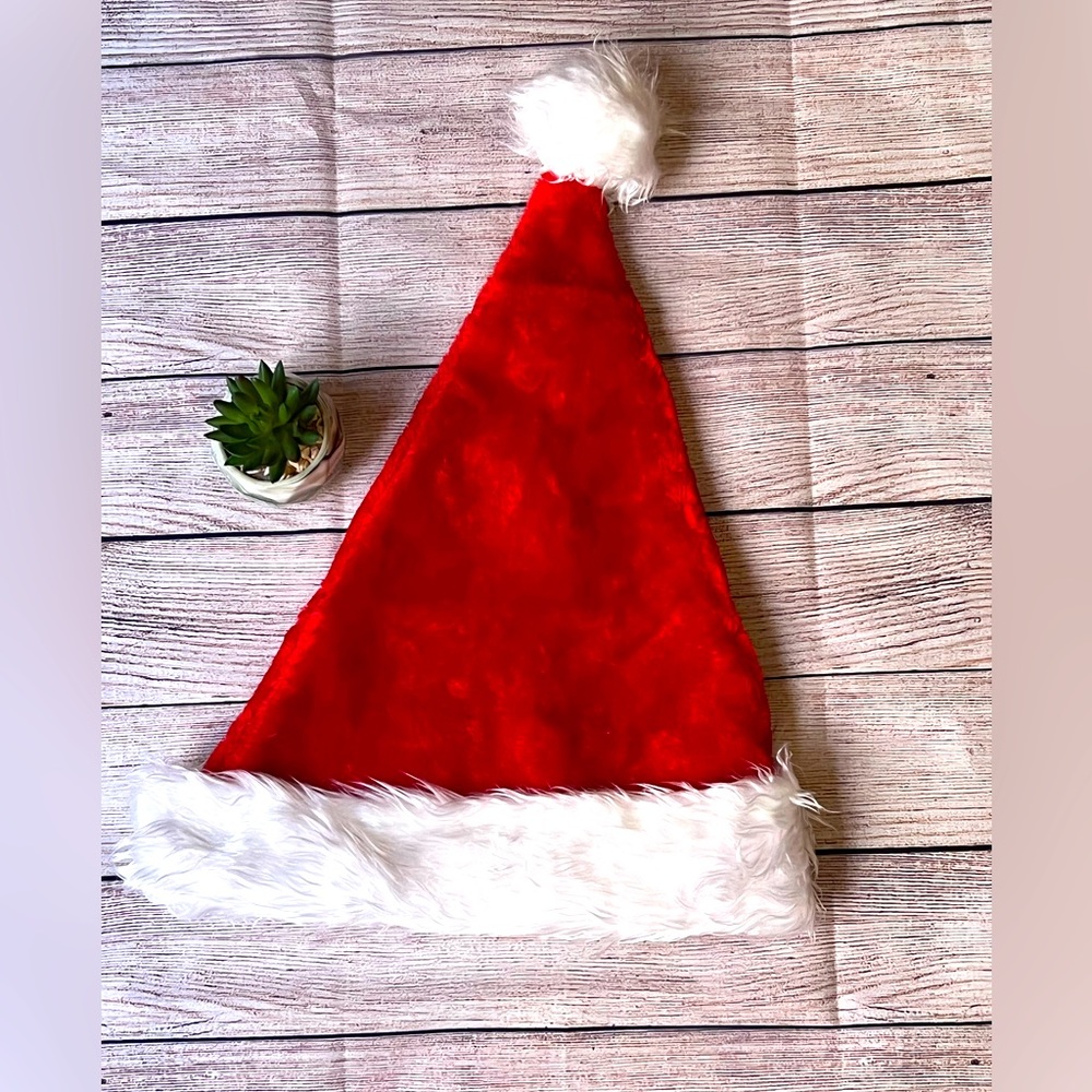 SANTA HAT Brand New
